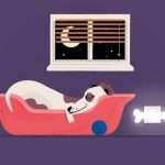 3 Calming Tips To Improve Dog Behaviour At Night