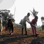 Empowering Communities for Sustainable Forest Management
